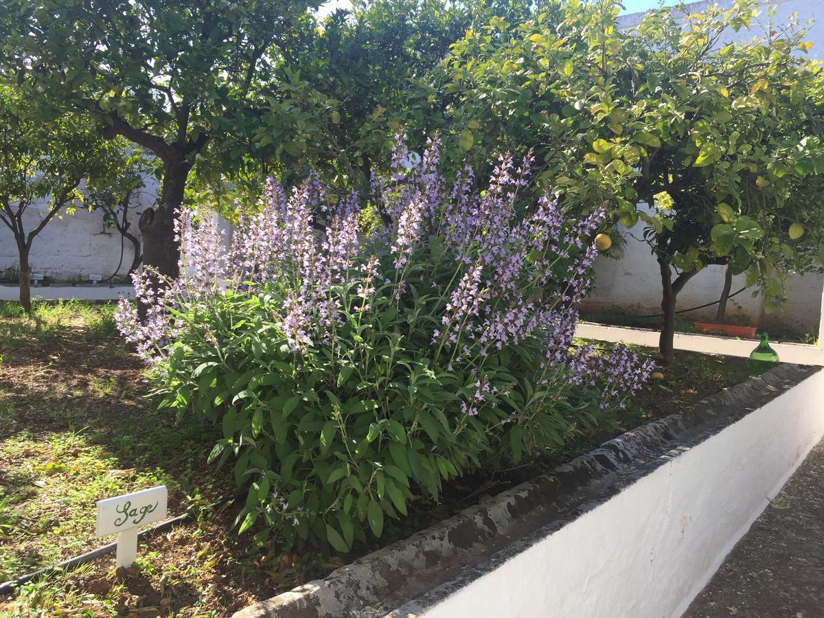 Masseria Rienzo Остуни Экстерьер фото