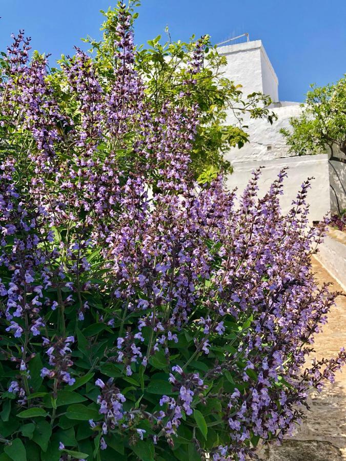 Masseria Rienzo Остуни Экстерьер фото